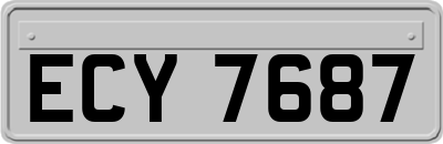 ECY7687