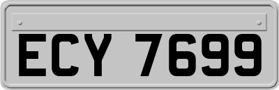 ECY7699