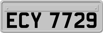 ECY7729