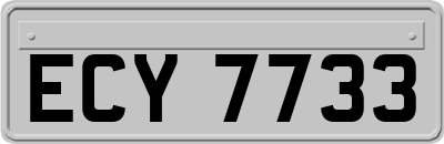 ECY7733