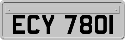 ECY7801