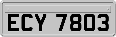 ECY7803