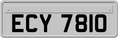 ECY7810