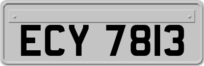 ECY7813