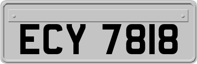 ECY7818