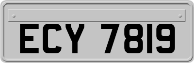 ECY7819