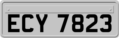 ECY7823