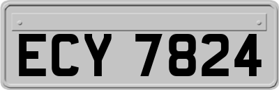 ECY7824