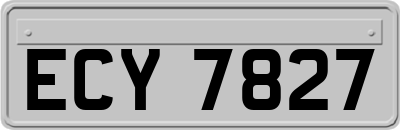ECY7827