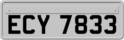 ECY7833
