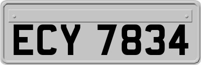 ECY7834