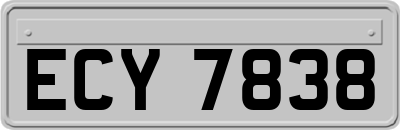 ECY7838