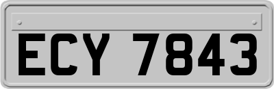 ECY7843