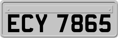 ECY7865