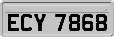 ECY7868