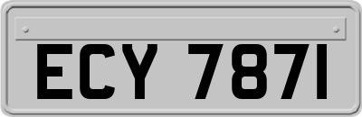 ECY7871