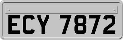 ECY7872