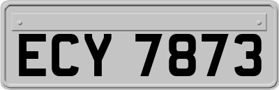 ECY7873