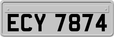 ECY7874