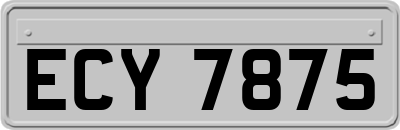 ECY7875