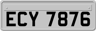 ECY7876