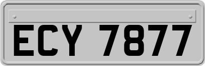 ECY7877