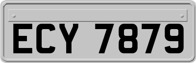 ECY7879