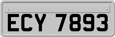 ECY7893
