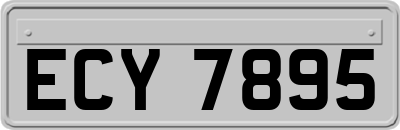 ECY7895