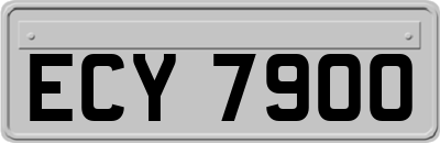 ECY7900