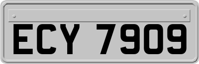 ECY7909