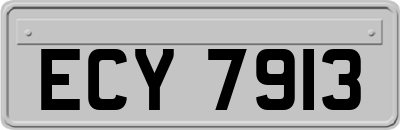 ECY7913