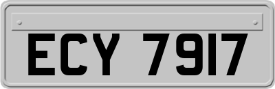 ECY7917
