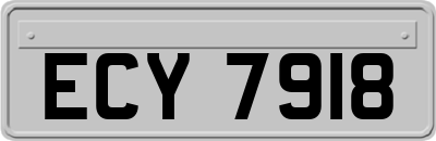 ECY7918
