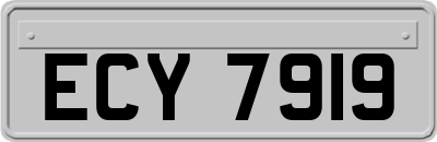 ECY7919