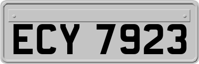 ECY7923
