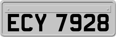 ECY7928
