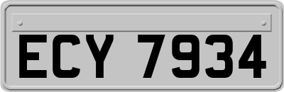 ECY7934