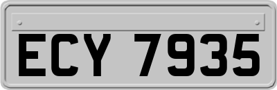 ECY7935
