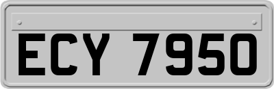 ECY7950