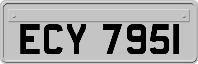 ECY7951
