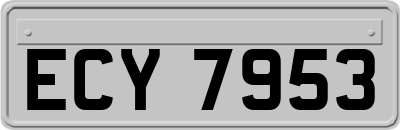 ECY7953