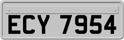 ECY7954