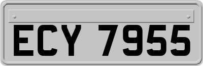 ECY7955
