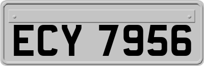 ECY7956