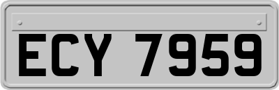 ECY7959