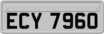 ECY7960