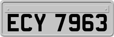 ECY7963