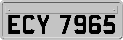 ECY7965
