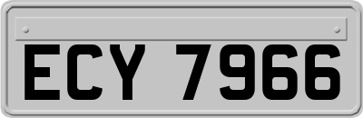 ECY7966
